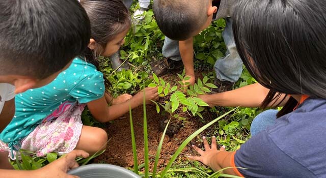 GUATEMALA_REFOREST ESCOLAR1.jpg